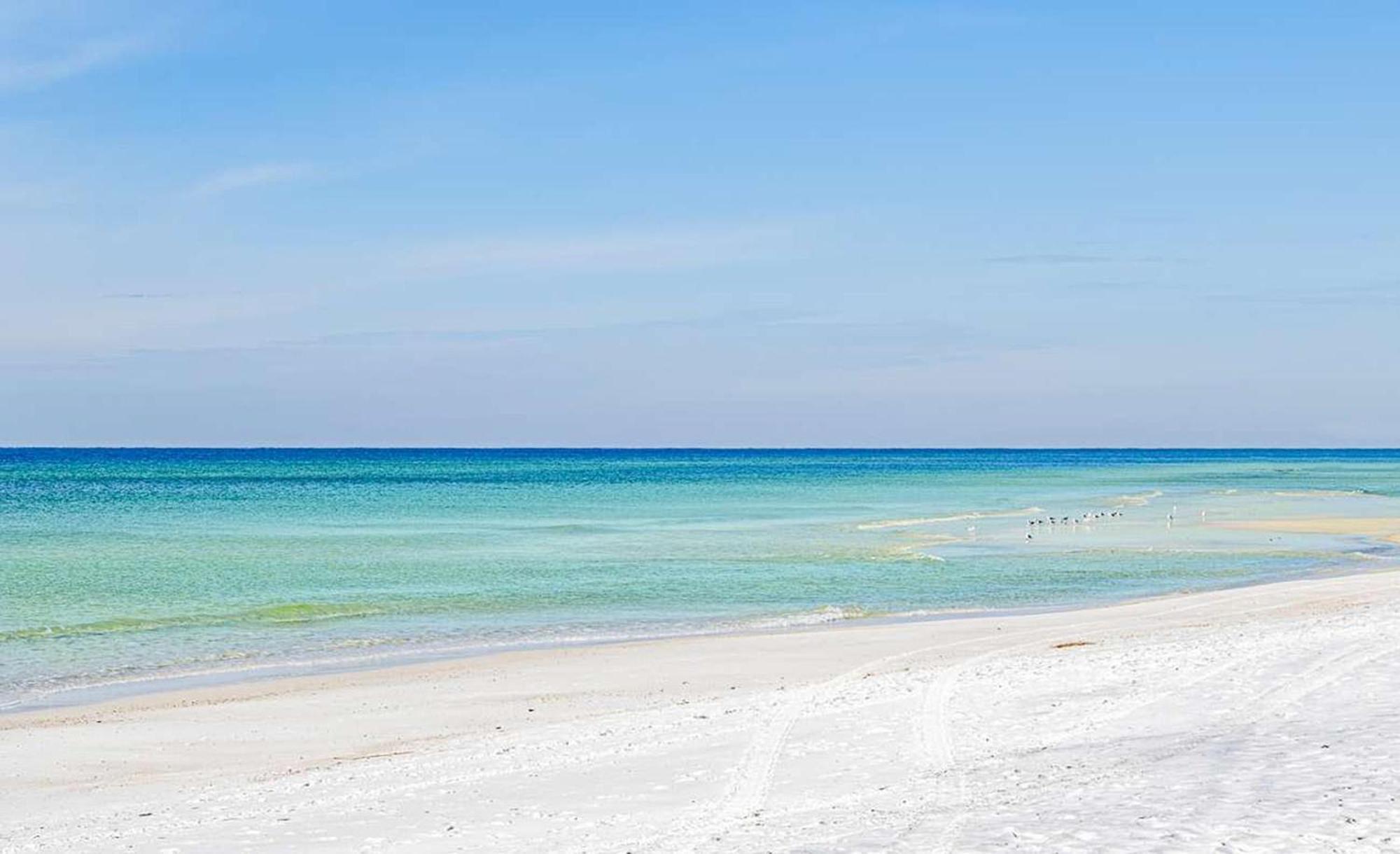 Majestic Beach Towers 1-1803 Panama City Beach Εξωτερικό φωτογραφία